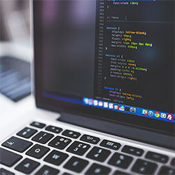 草莓视频芭乐视频小猪视频丝瓜视频鸭，草莓丝瓜芭乐向日葵小猪视频软件