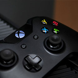 野花视频直播免费观看7，野花视频直播免费观看7免费版