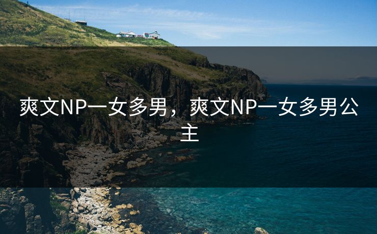 爽文NP一女多男，爽文NP一女多男公主
