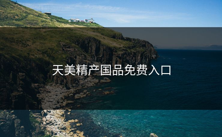 天美精产国品免费入口