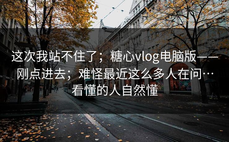这次我站不住了;糖心vlog电脑版——刚点进去;难怪最近这么多人在问…看懂的人自然懂